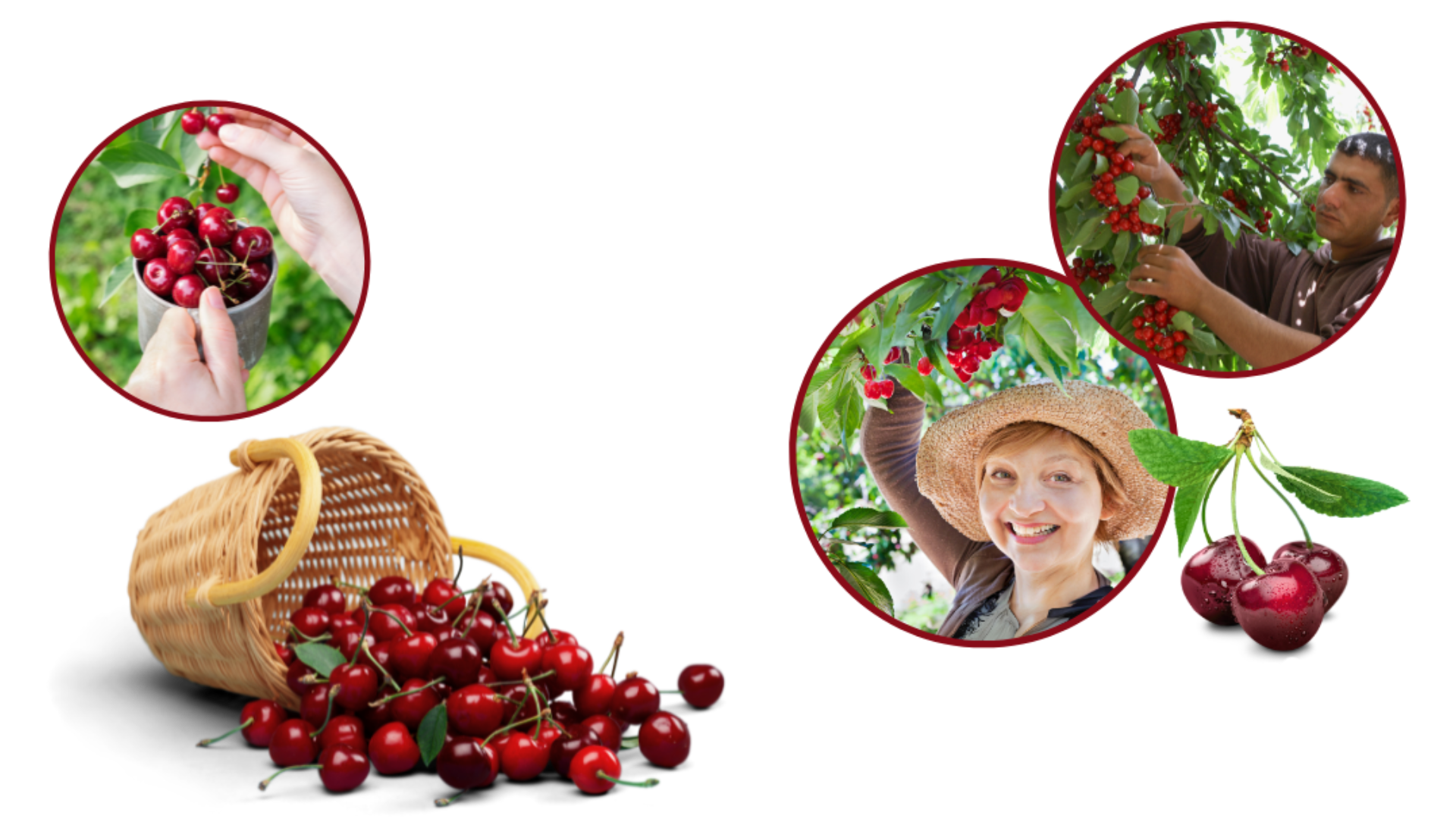 Заголовок
