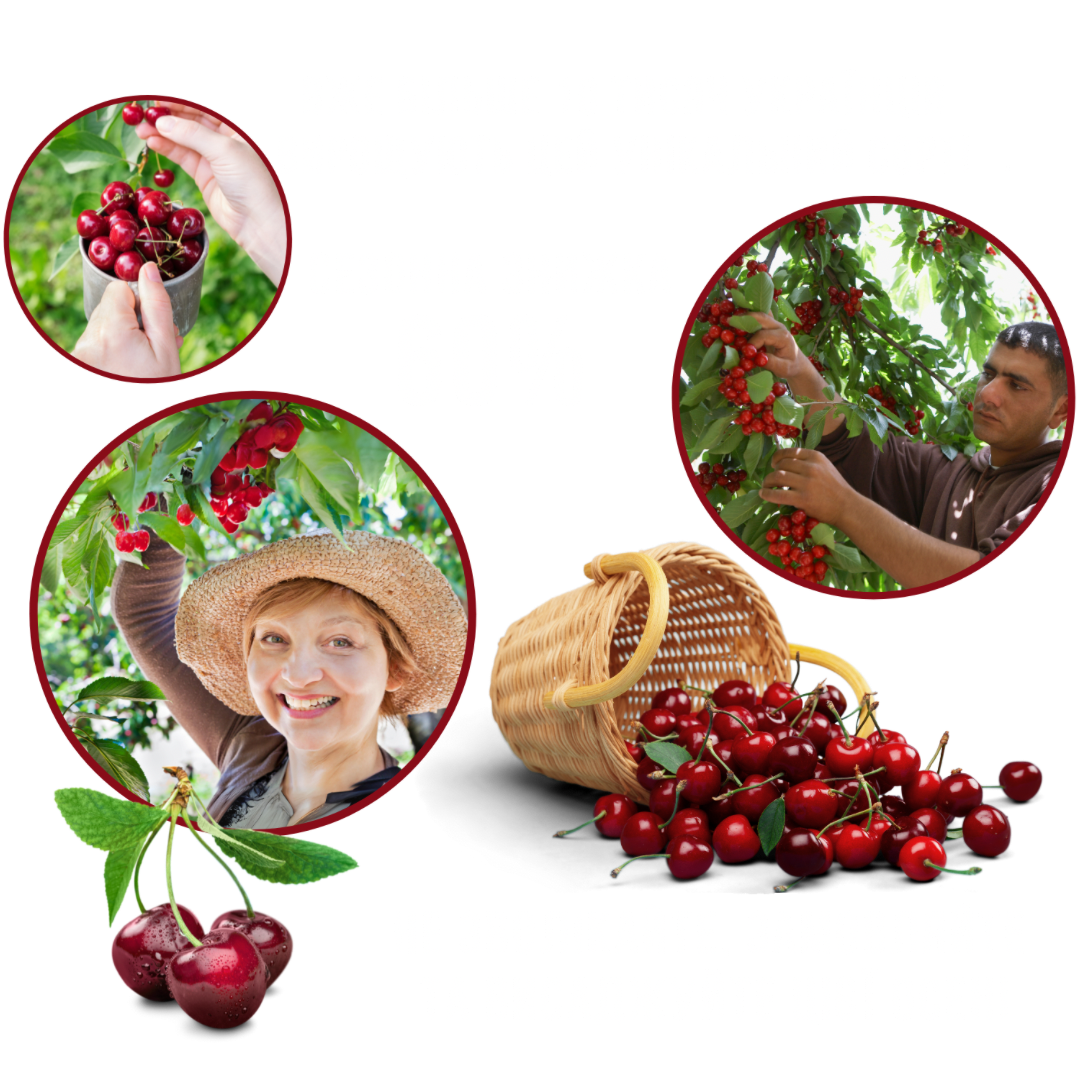 Заголовок