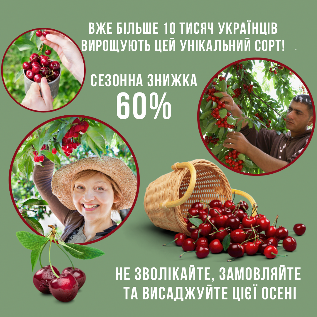 Заголовок
